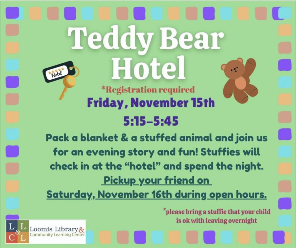 Teddy Bear Hotel