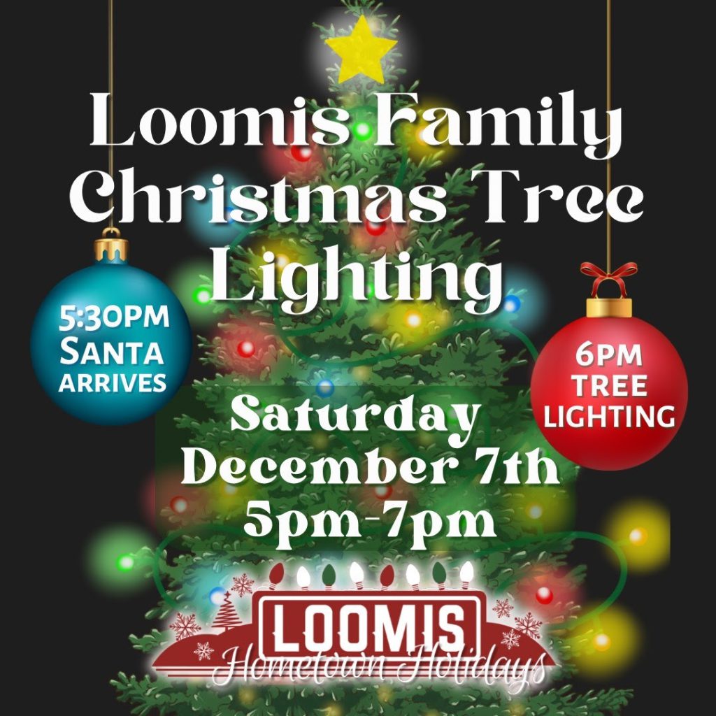 Loomis Family Christmas Tree Lighting