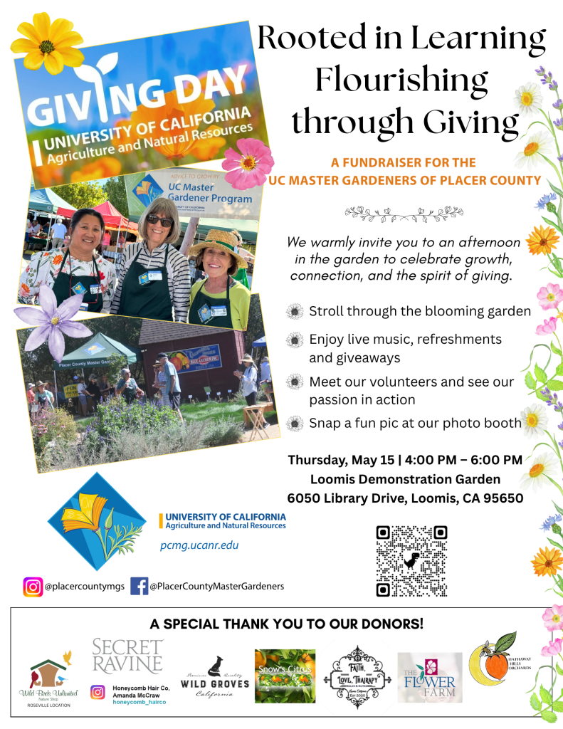 Rooted in Learning Flourishing through Giving