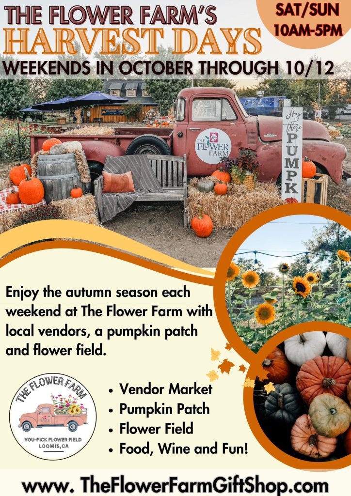 Harvest Days at the Flower Farm