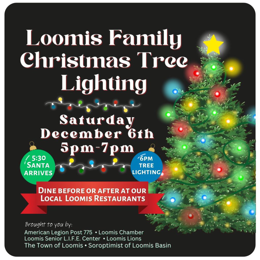 Loomis Family Christmas Tree Lighting