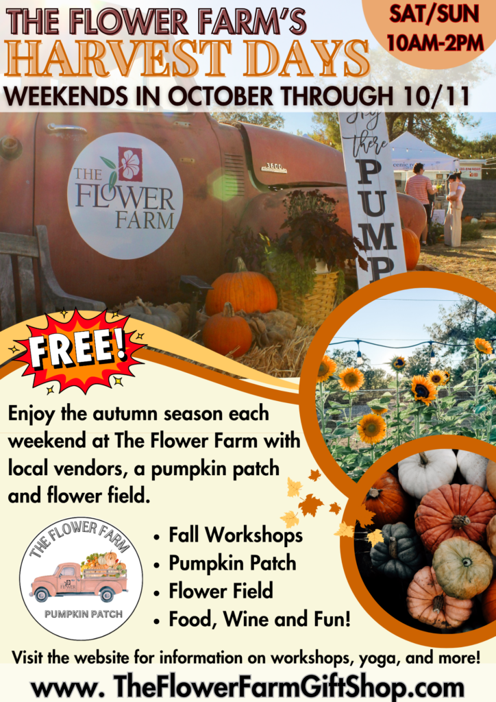 Harvest Days at The Flower Farm