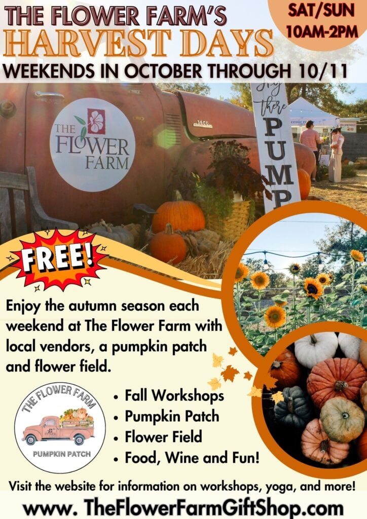 Harvest Days at The Flower Farm