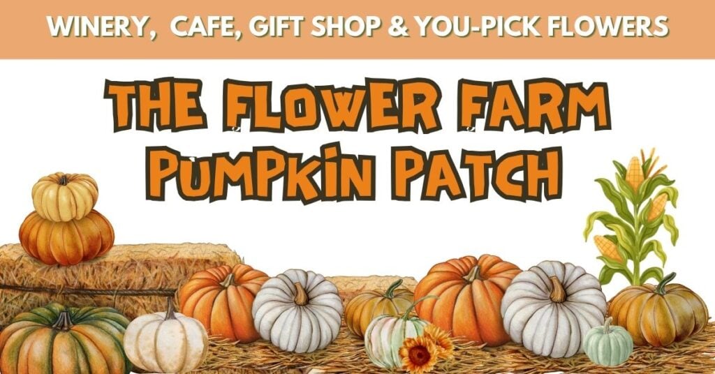 Pumpkin Patch at The Flower Farm